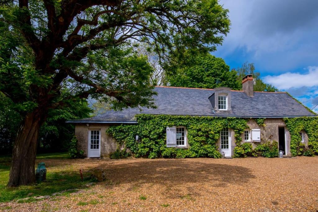 Les Maudines Villa Bauge-en-Anjou Exterior photo